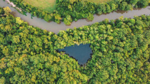 Hidden Lake from Above