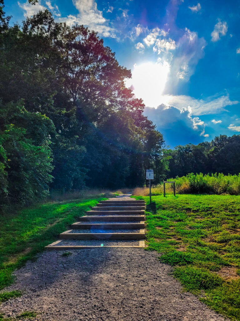 Chickering Trailhead and Entrance at Percy Warner Park