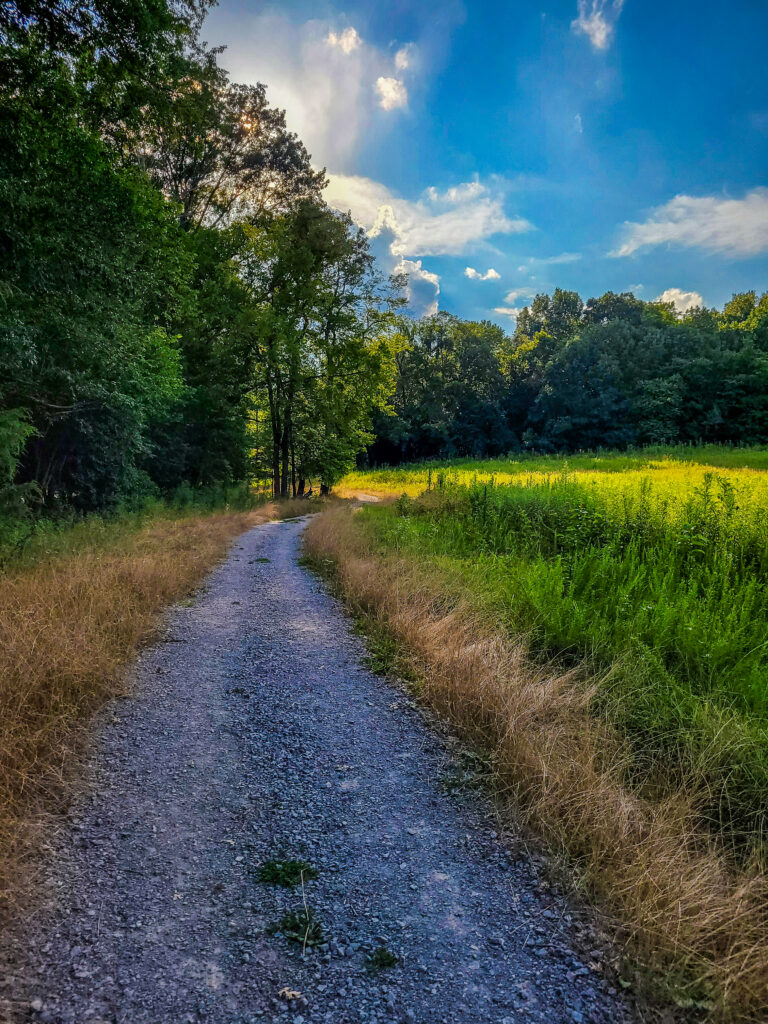 Chickering Trailhead and Entrance at Percy Warner Park