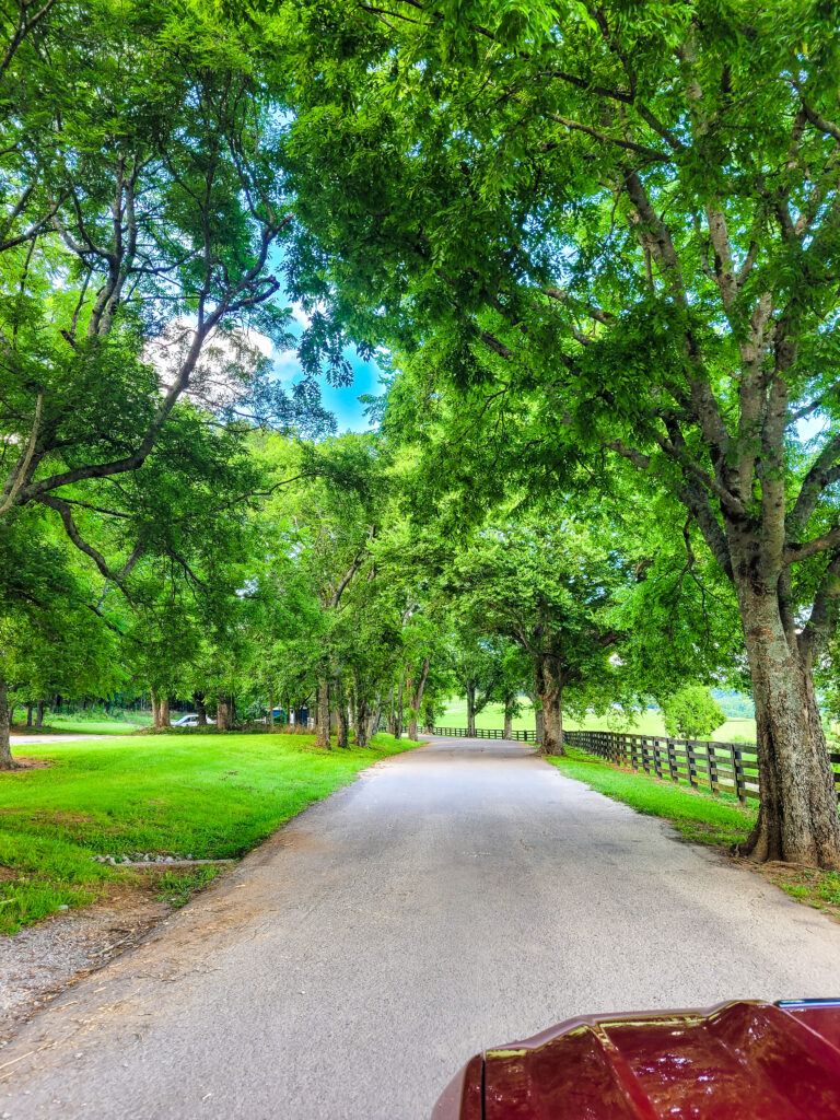 Percy Warner Park - Gaucho Trailhead and Entrance